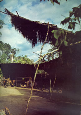 Yanomami-Dorf (Shabono)